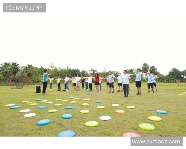 飞盘盛宴:深入深圳飞盘队的拼搏与团结精神探秘之旅